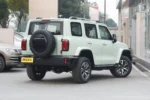 Tank 300 Time Traveler Compact SUV– Buy Direct From China | Les voitures chinoises en République démocratique du Congo